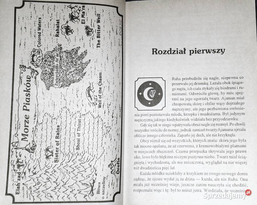 Morze piasków Troy Denning Rok wydania 1998 Pozostałe lubelskie Chełm