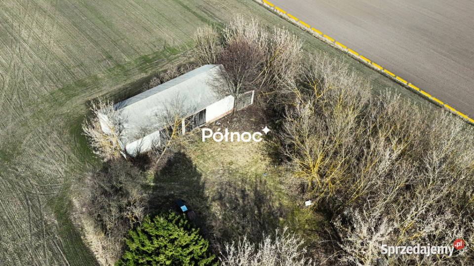 Działka rolnosiedliskowa w Szpikołosach 524 ha asfalt Szpikołosy