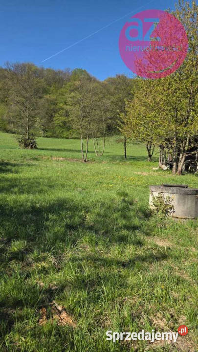 Działka budowlana w Rdziostowie gmina Chełmiec Rdziostów
