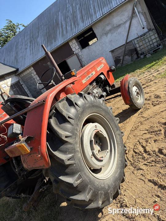 Ursus C360 1988 zarejstrowany lubelskie Radzyń Podlaski