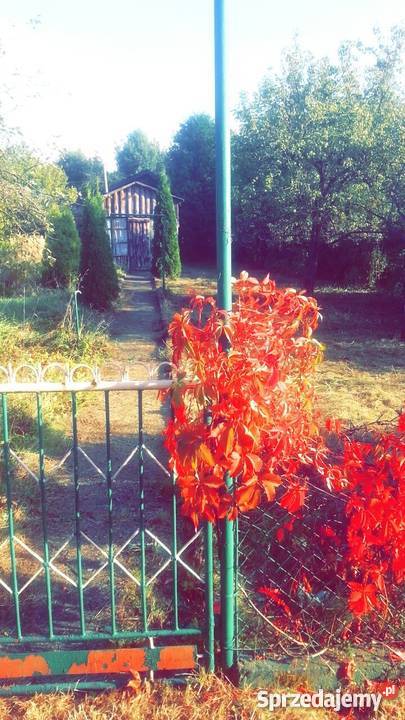 Działka Rekreacyjna Częstochowa 350m2