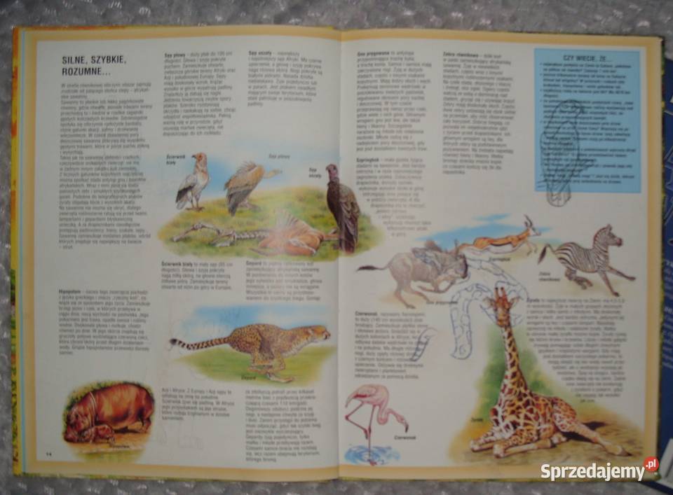 Encyklopedia Atlas Świata i Wielki Atlas Rawicz