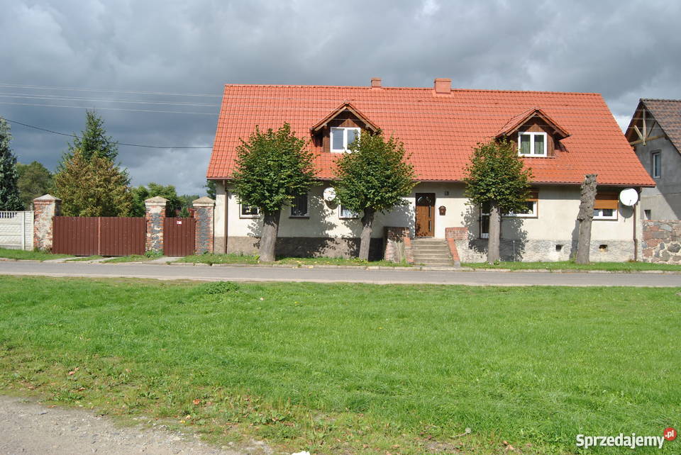 Sprzedam Duży Dom Domy Gudzisz