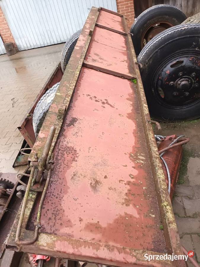 Burty rozrzutnika Ciszyca Przewozowa