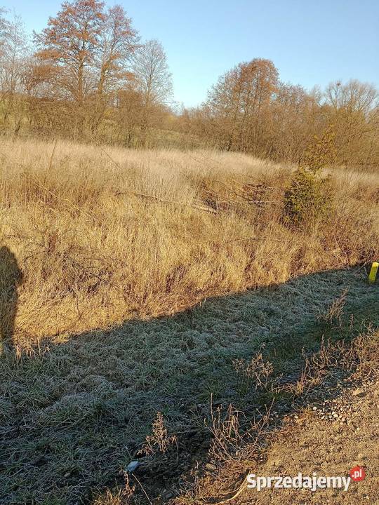 Działka budowlana 10 arów Jedwabne sprzedam