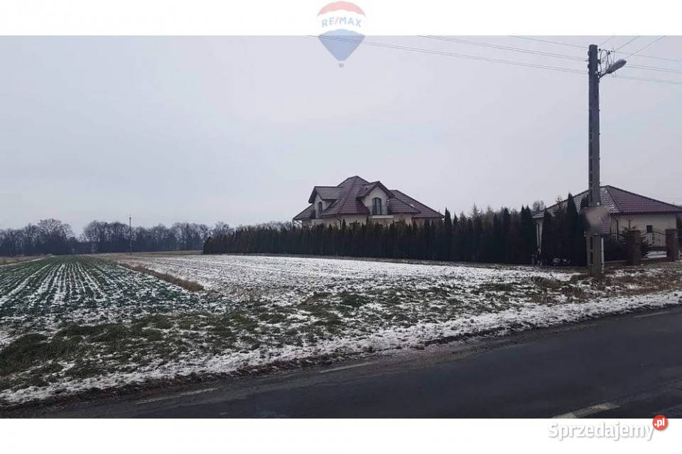 Działka budowlana i las lubelskie Łęczna