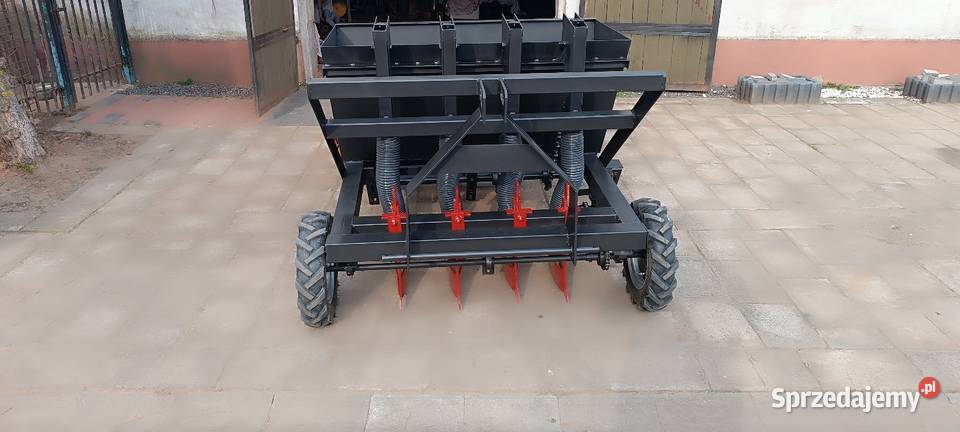 Sadzarka dymka cebula czosnek bób warzywa