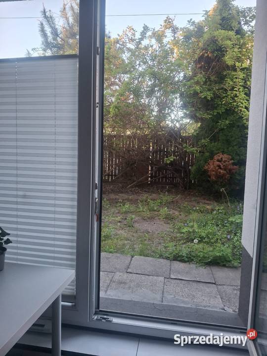 Mieszkanie do wynajęcia parter Wynajem sprzedam