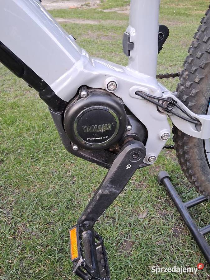 Rower elektryczny Raymon full 130E 50