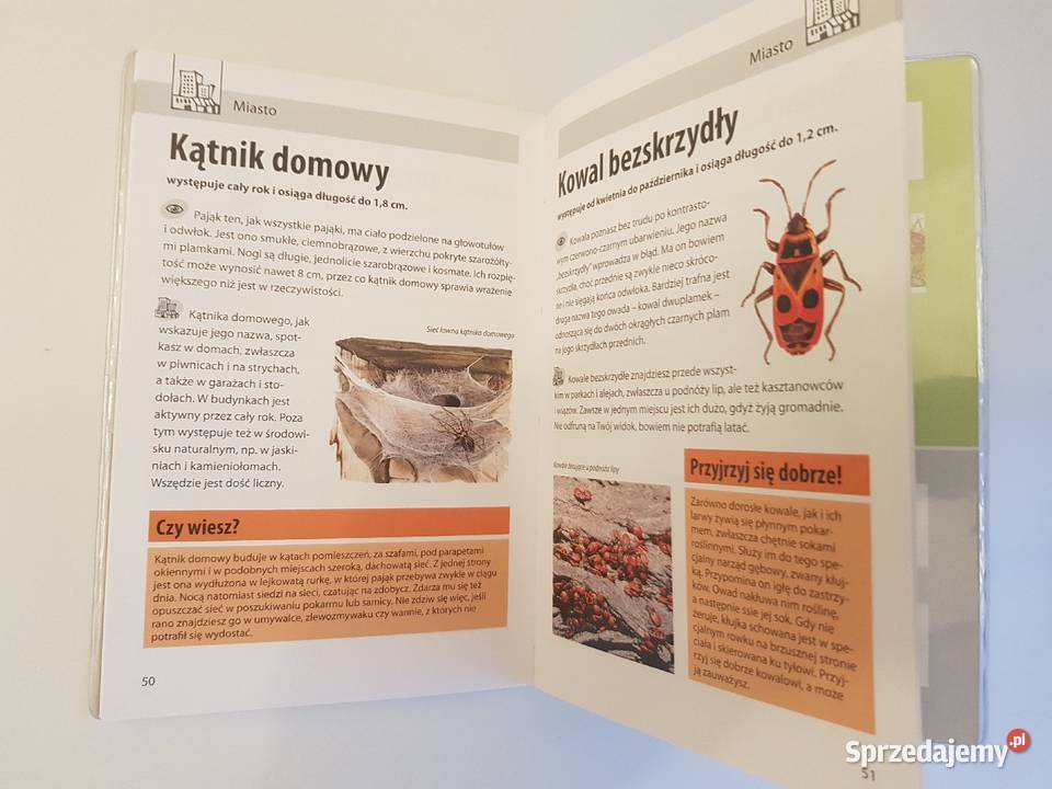 Jakie to zwierzę Mój pierwszy przewodnik Szczecin sprzedam