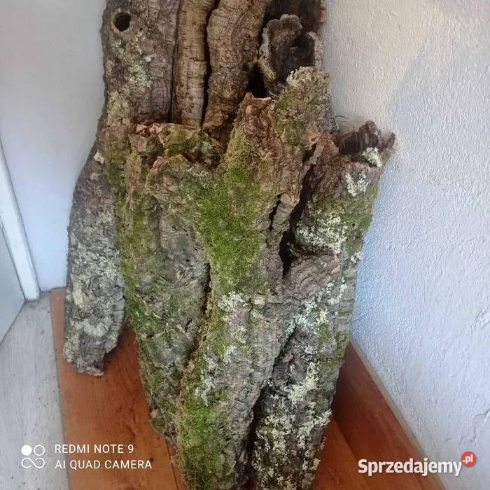 Tuby korkowe do Terrarium Ostrów Wielkopolski
