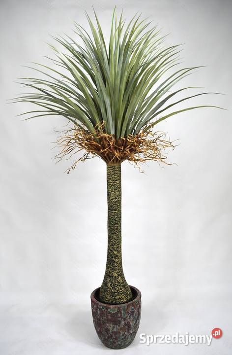 Sztuczna Yucca realistyczny wygląd 160 Pozostałe Wąbrzeźno