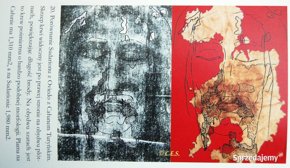 Święta chusta Święta Krew Tajemnica sudarionu z Lublin sprzedam