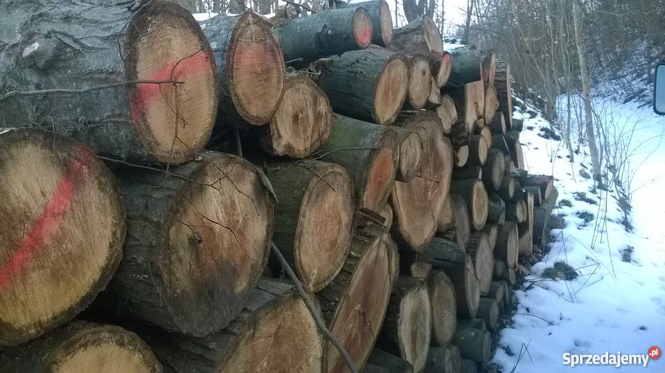 DREWNO TWARDE PROMOCJA