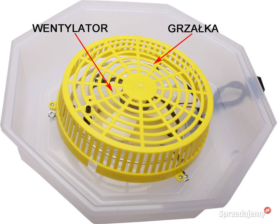 INKUBATOR 60 JAJ WYLĘGARKA KLUJNIK LCD Rzeszów sprzedam