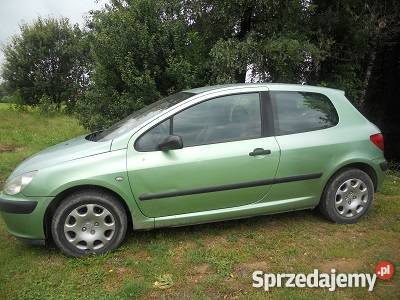 Peugeot 307