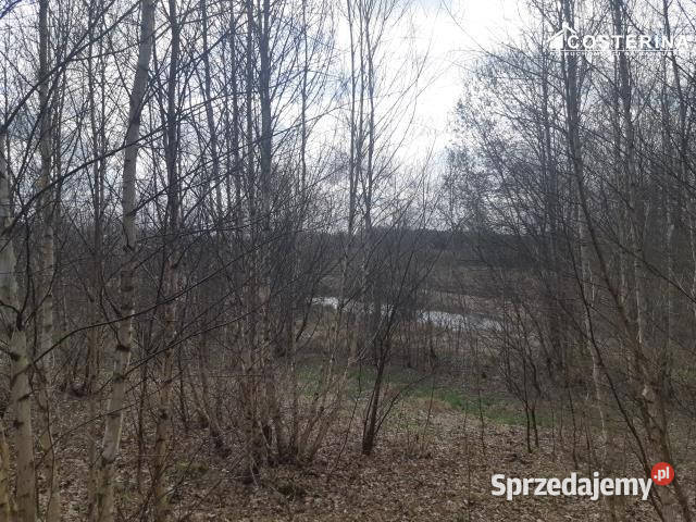 sprzedaży gruntu 1302 metry Nowy Bukowiec prąd