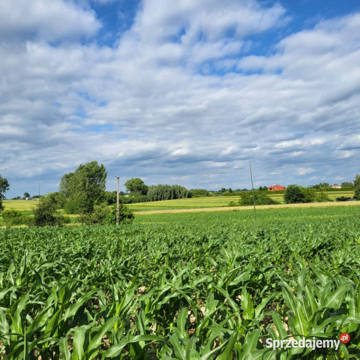 działka budowlana Płouszowice Kolonia lubelskie
