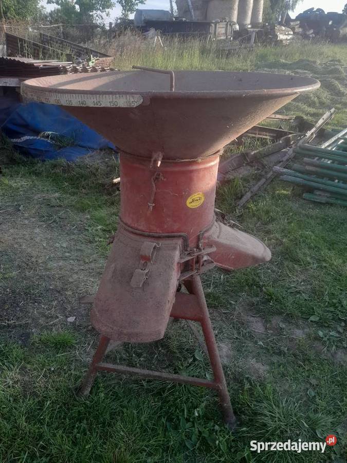 Srutownik Bąk Uszew