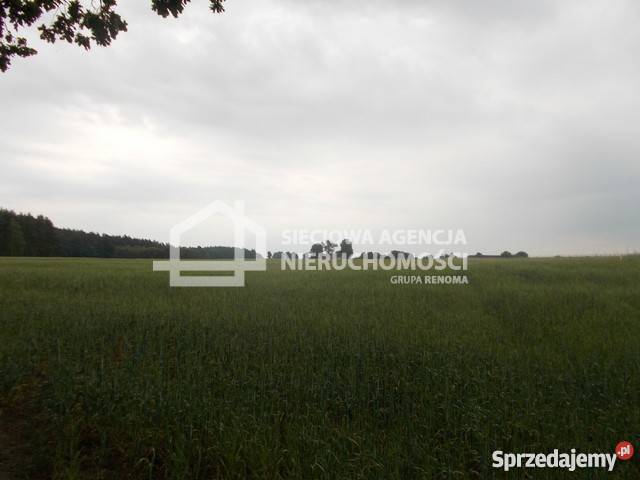 sprzedaży gruntu 41960m2 41960m2 Grunty i działki