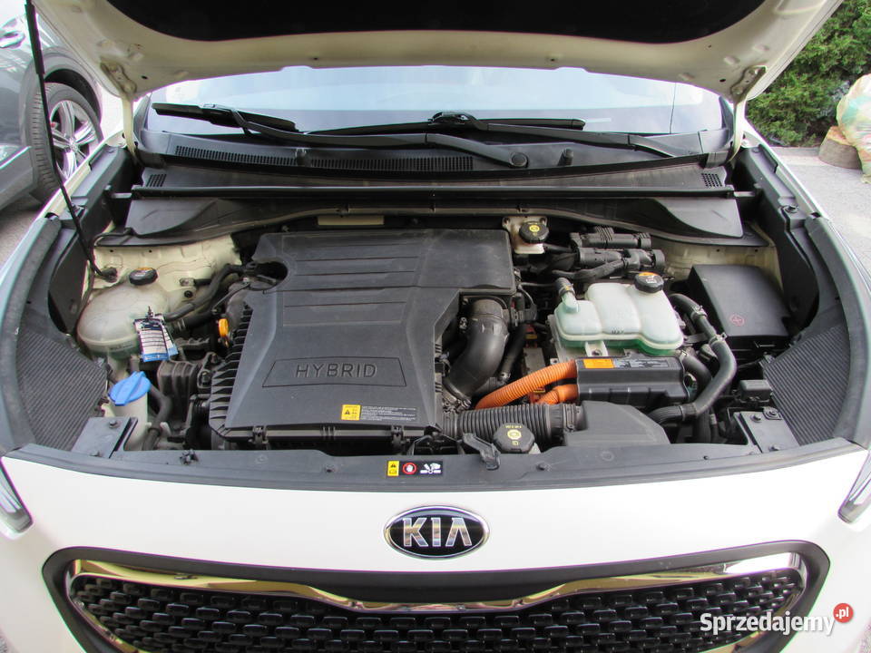 Kia Niro 16 GDi HEV XL Radar FULL LED 141KM