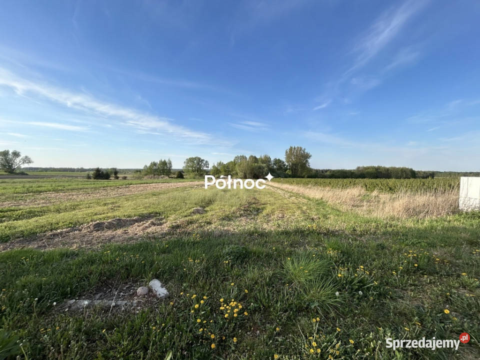 2 działki z WZ 1205 m Janów Podlaski asfalt sprzedam
