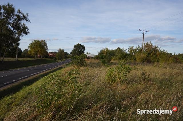Pułtusk Kleszewo 35 ha DOSKONAŁA POD INWESTYCJĘ Pułtusk