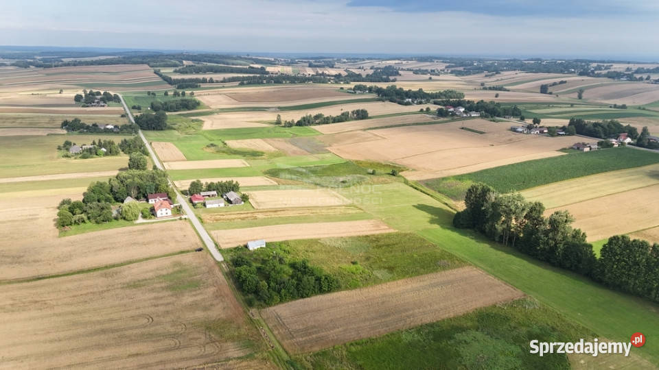 Sprzedam siedlisko w Bożej Woli gm Adamów Boża Wola