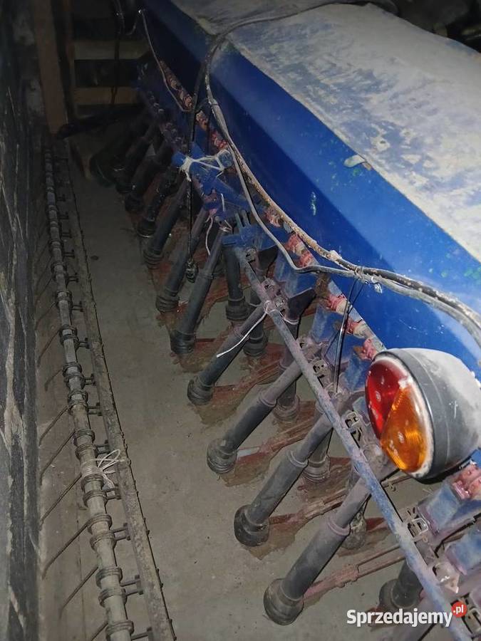 Siewnik Poznaniak małopolskie