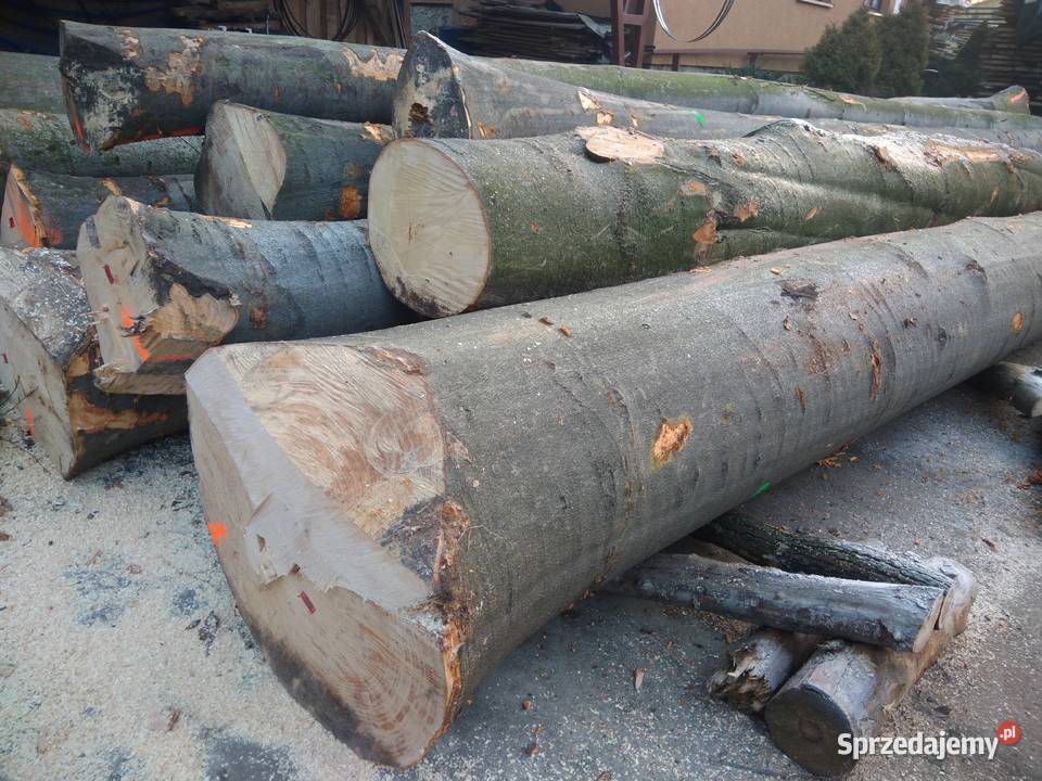 Tarcica deski brusy drewno BUK sezonowana gr 25 Izdebnik