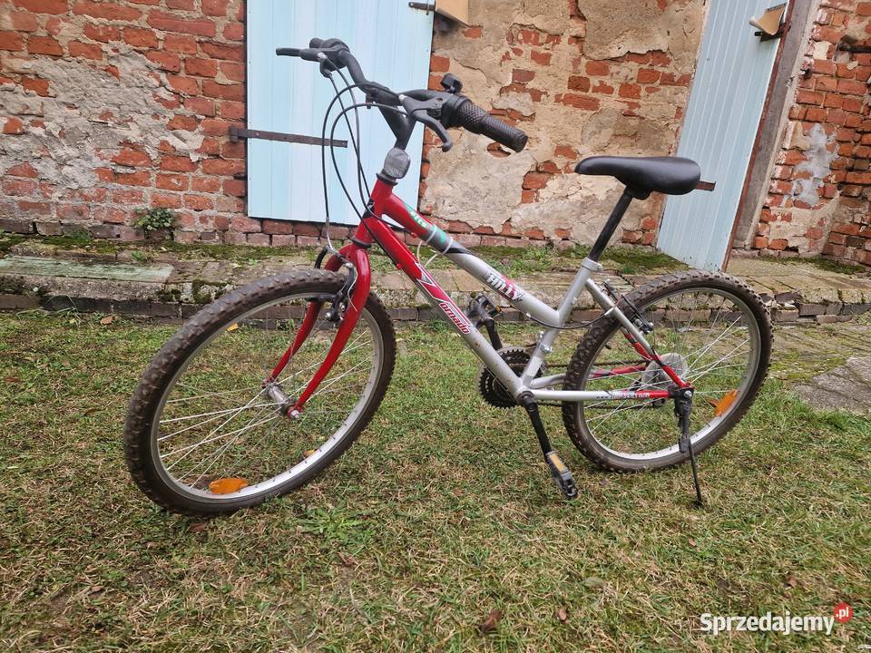 rower damka Miejskie Gubin