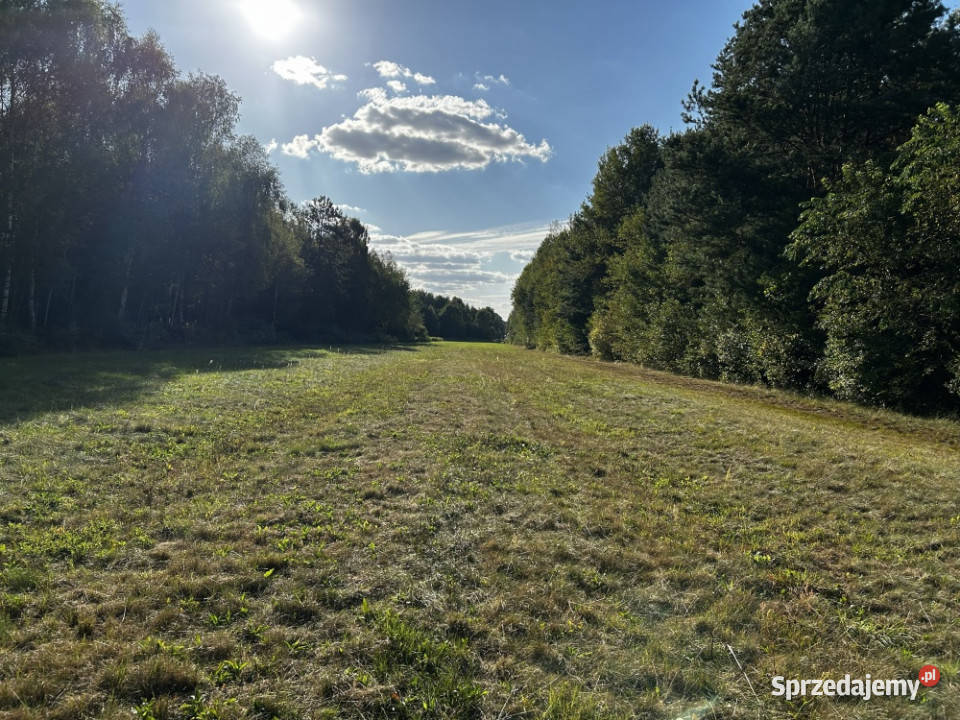 UROKLIWE MIEJSCE NATURY Rydzów sprzedam