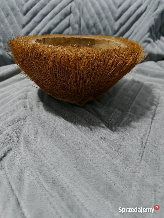 Donica z orzecha kokosowego Poznań sprzedam