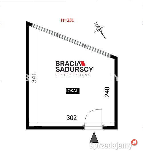 Wynajmę lokal 555m Kraków Bajana małopolskie