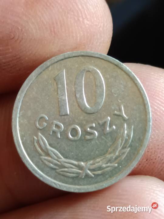 Sprzedam 10 gr 1981 r lekka skretka zzzz