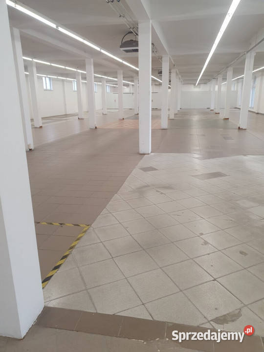 Duży lokal użytkowy w Tarnowie836 m z parkingiem Tarnów