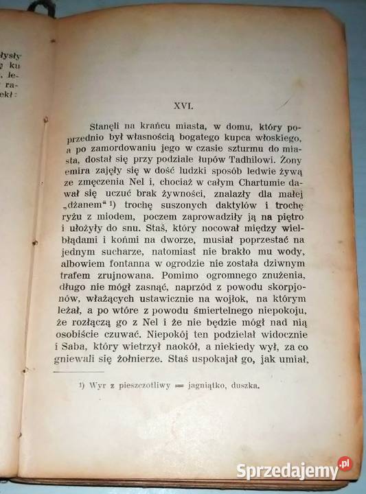 Oryginalna W Pustyni i w Puszczy Henryk