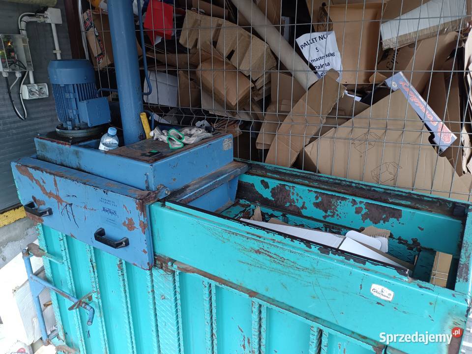 Belownica dwukomorowa Warszawa