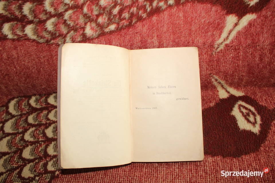 Die Steinkohle A Haenig 1907