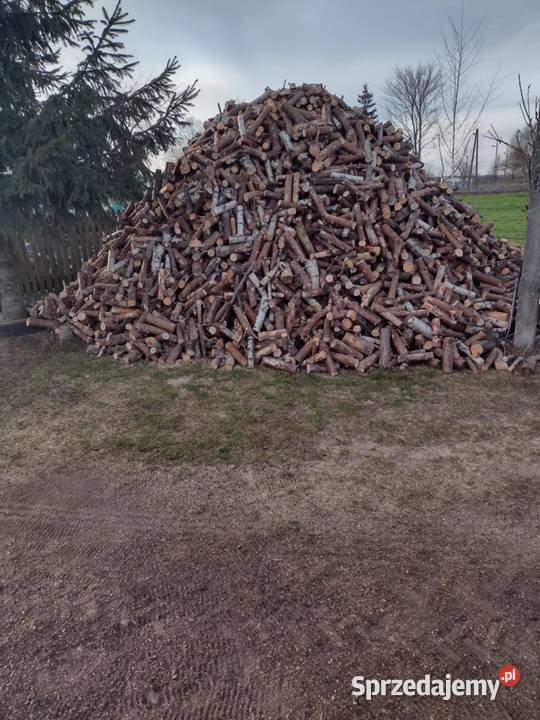 Sprzedam drzewo opałowe Przeradz Wielki