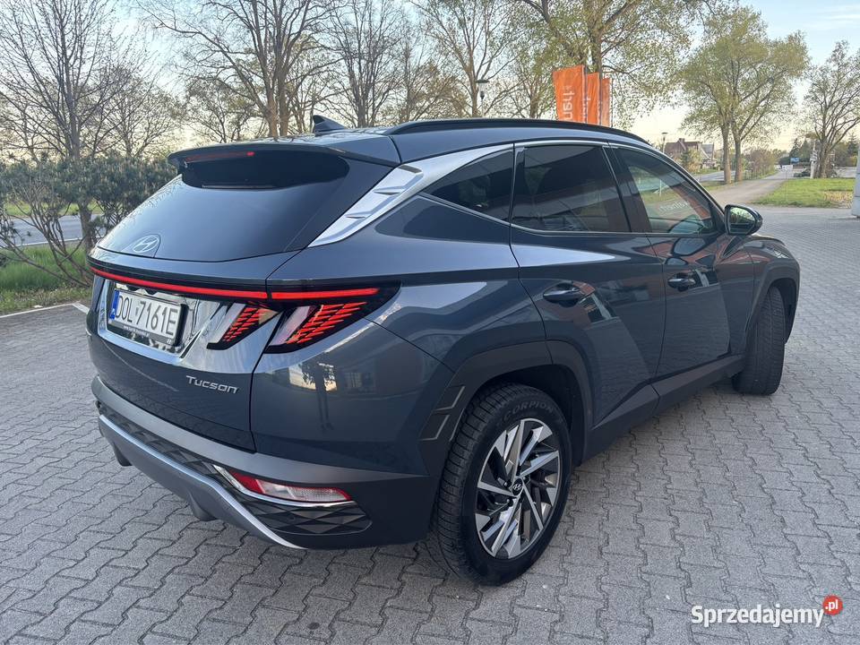 Hyundai Tucson Executive 2021r Polski salon światła do jazdy dziennej Samochody osobowe Międzybórz