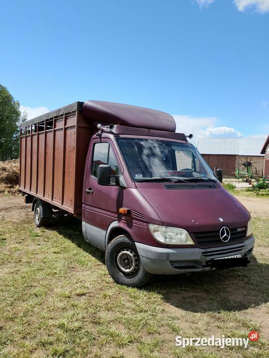 Mercedes sprinter 22 cdi do przewozu zwierząt Dąbrowa Białostocka
