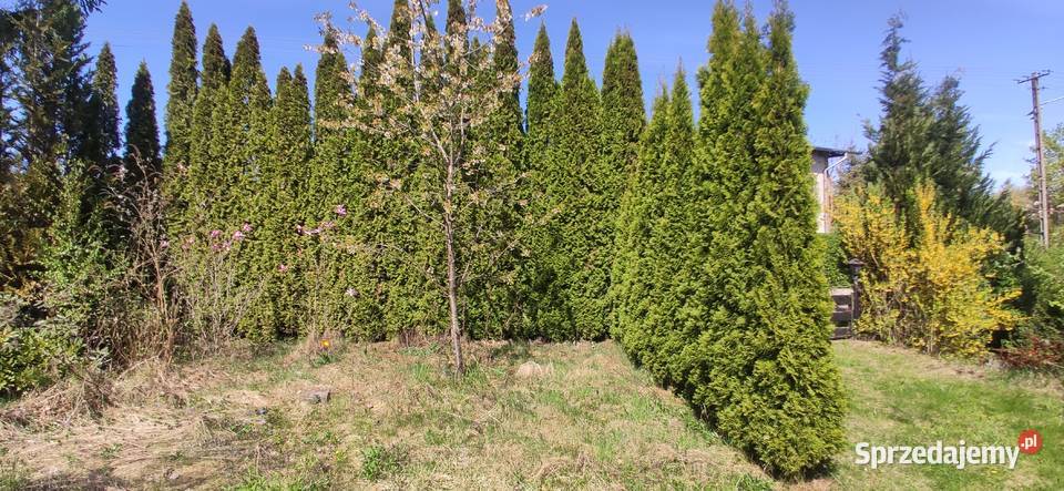 Działka rekreacyjna ROD jeziorem 412 m2 412m2 kujawsko-pomorskie Wierzchucinek