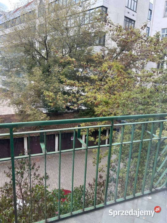 PRZYTULNA KAWALERSKA W LOKALIZACJI Warszawa sprzedam