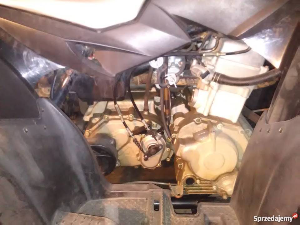 Aeon Cobra 350 lubuskie Nowa Sól