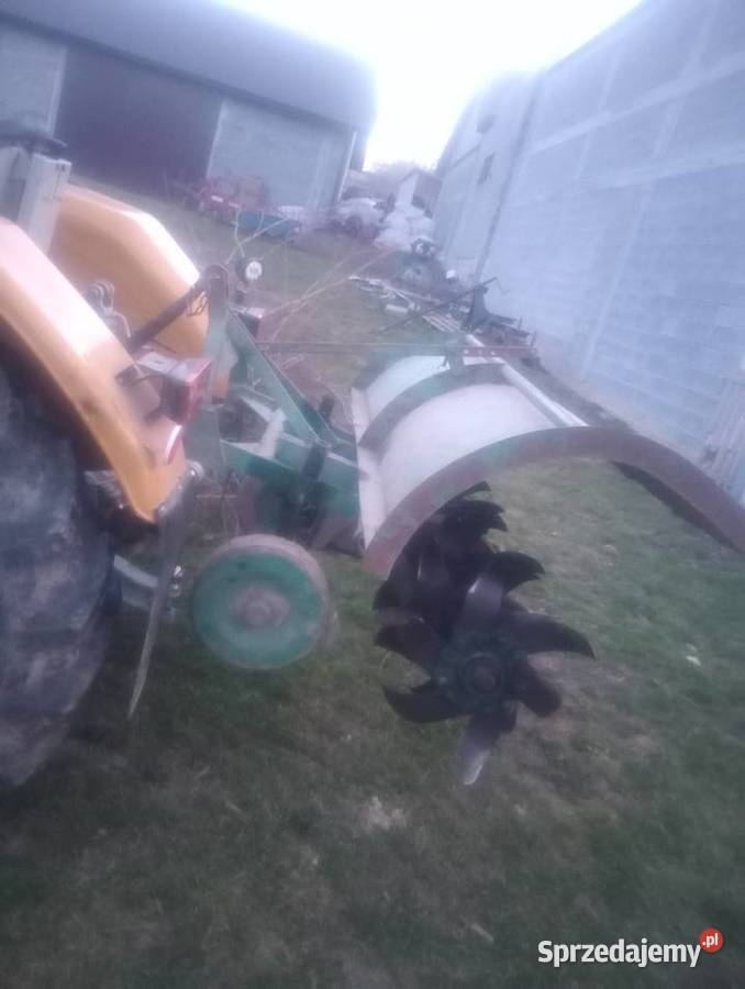 Gryzarka glebogryzarka Pińczów