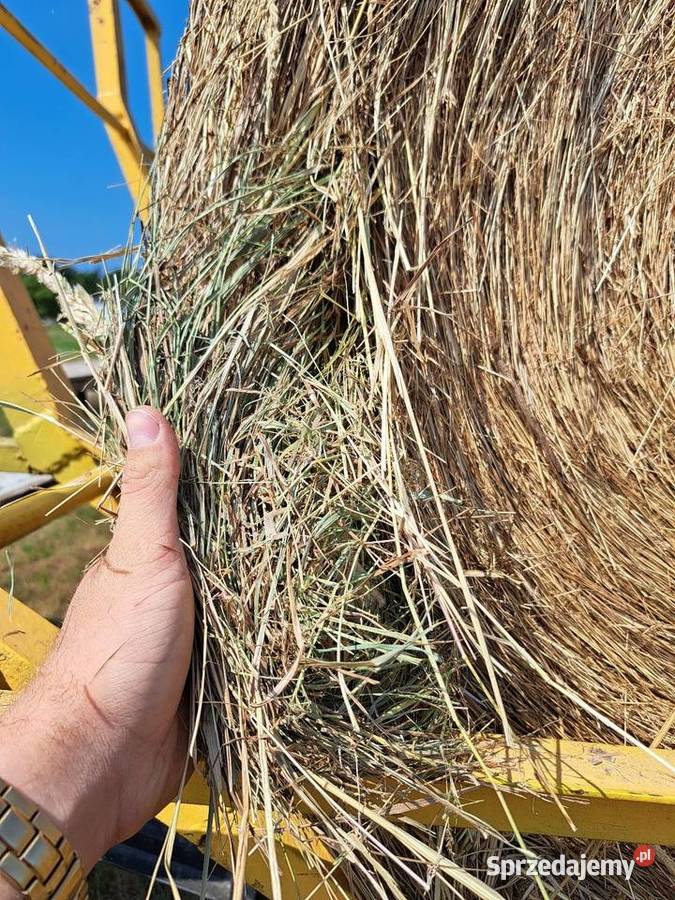 Siano w balotach z transportem siano jakości Poczesna