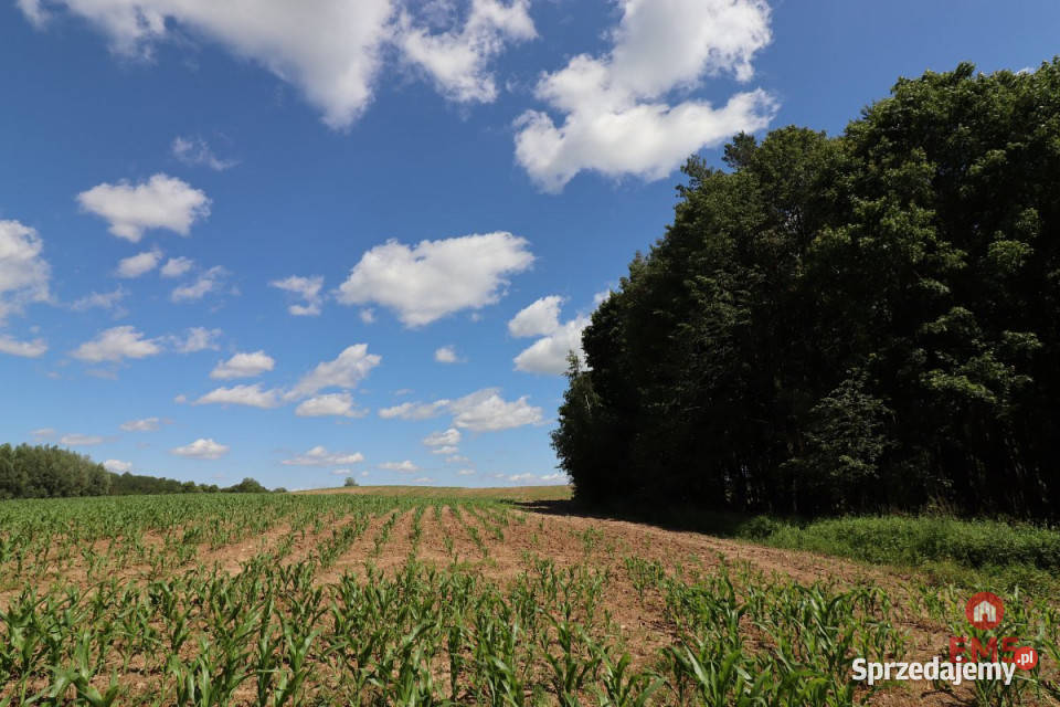 Działka na sprzedaż 1100m2 Rożyńsk Wielki warmińsko-mazurskie sprzedam