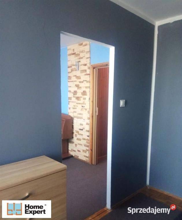 2pok 31met Zielnej PIWNICAWINDA Wrocław Nieruchomości