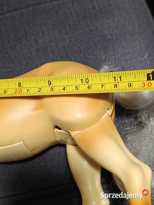 interaktywny koń Poznań